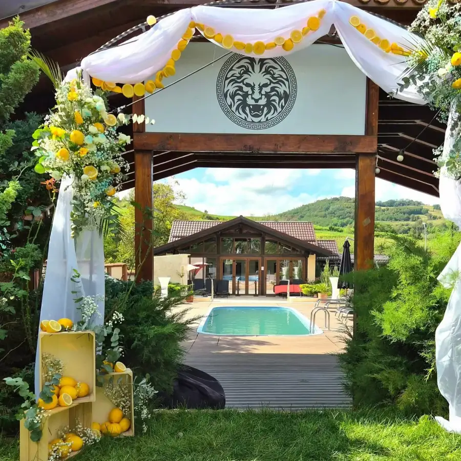 Veranstaltungen